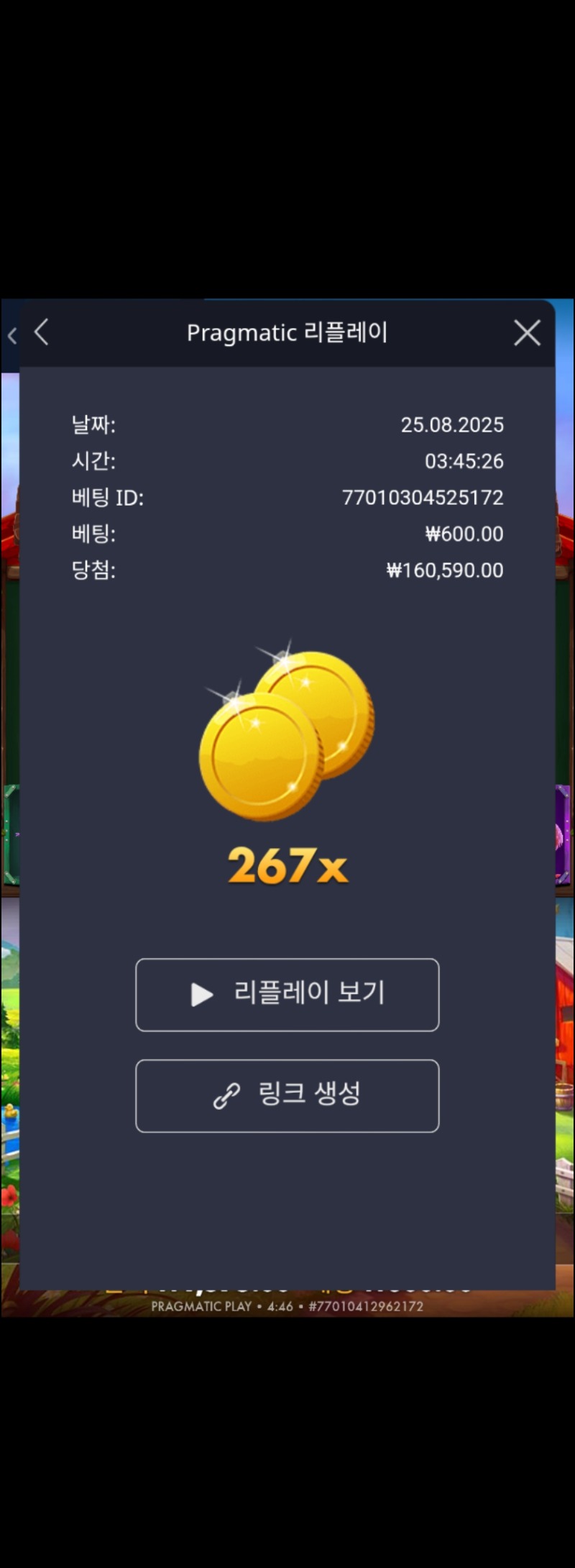 닭집267배