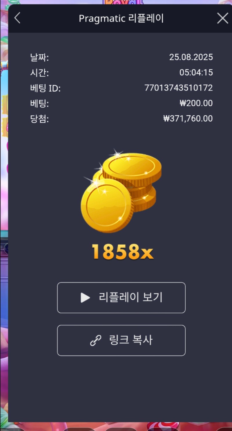 로얄 슈가1000 1858배