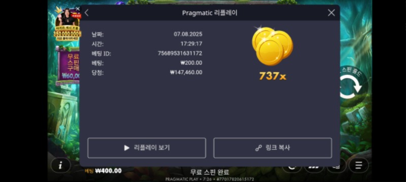 멀린737배