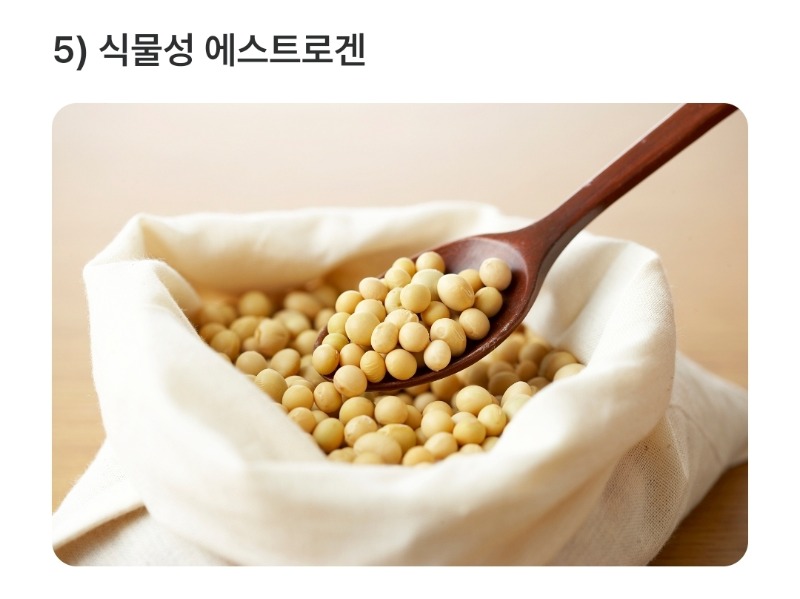 굿몽~갱년기의 좋은음식