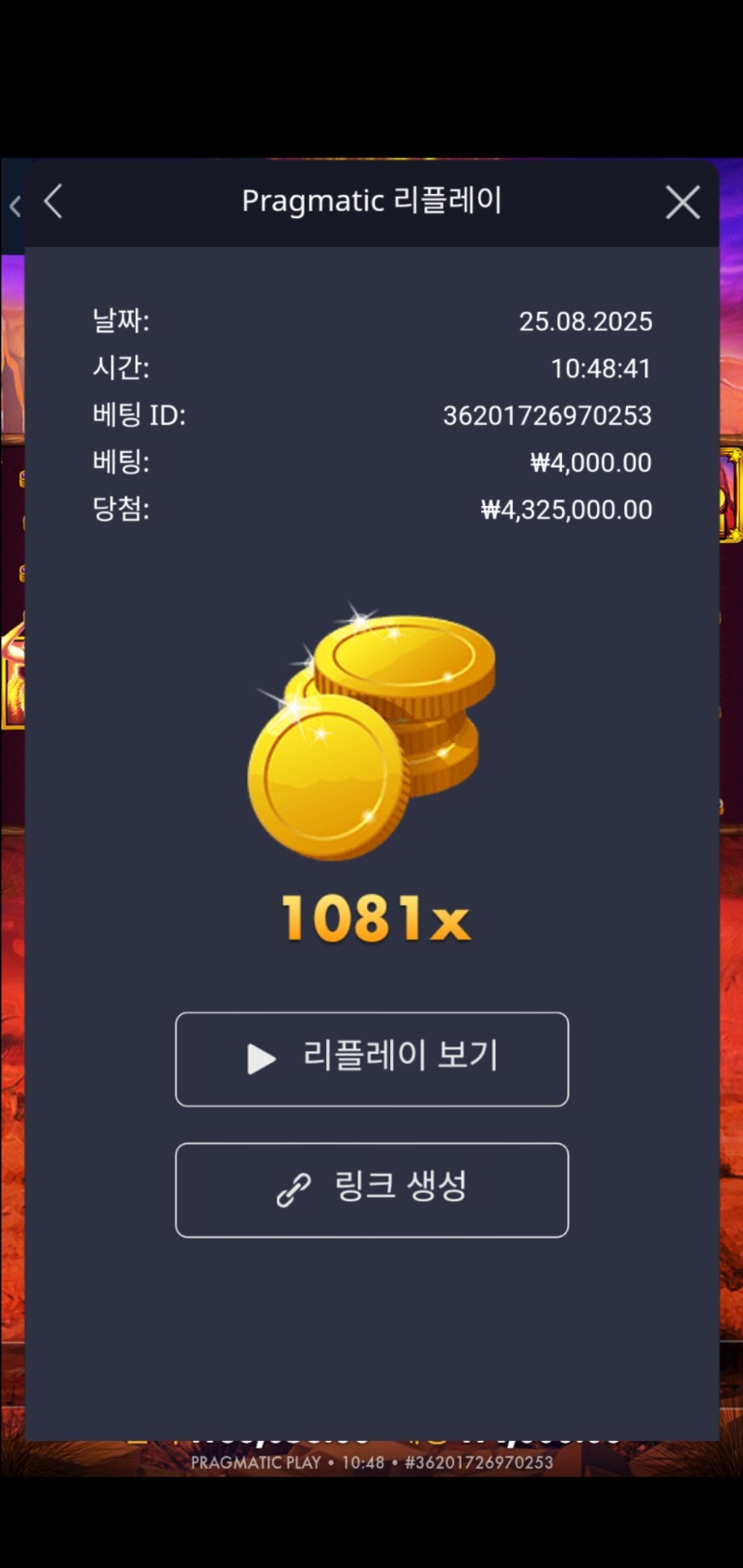 버팔로 킹 1081배