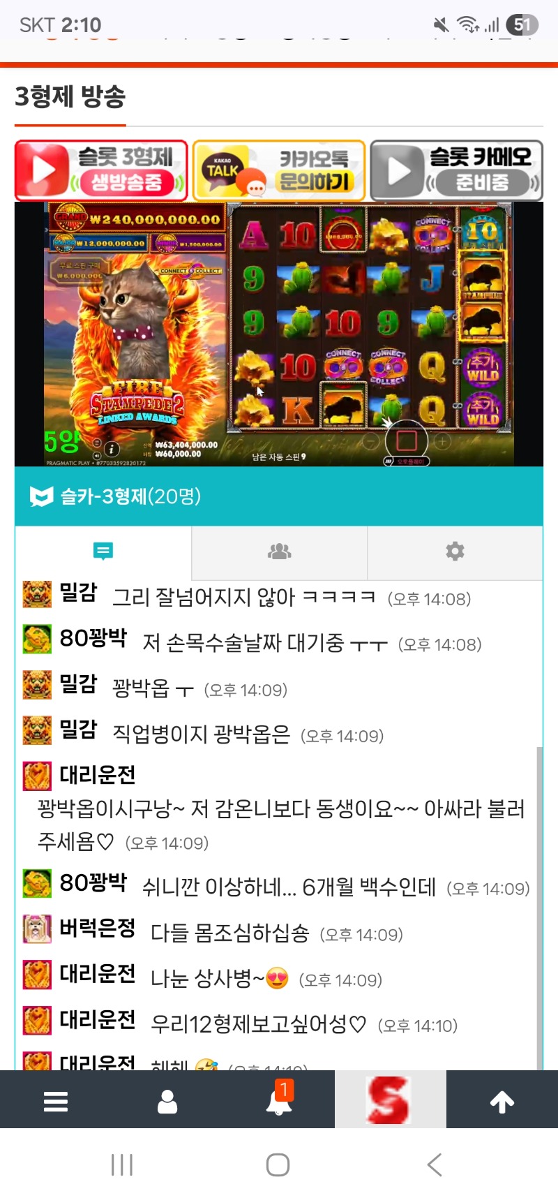 월욜 스타트 첫방 양이 출격햇네요~~