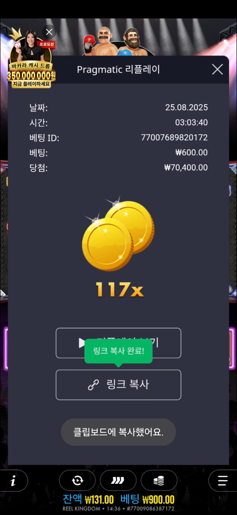 빅베스복싱 117배