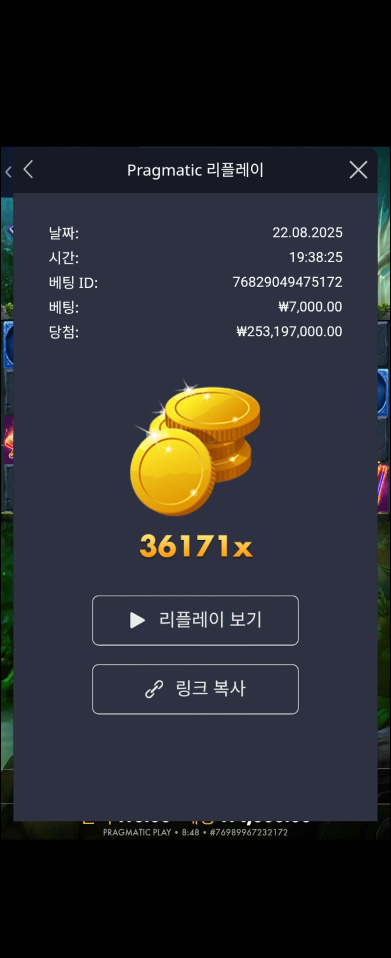 멀린 36171배