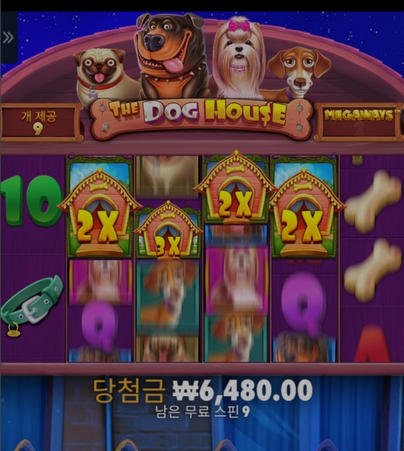 고배당 기대해봐도될까용?ㅋㅋ