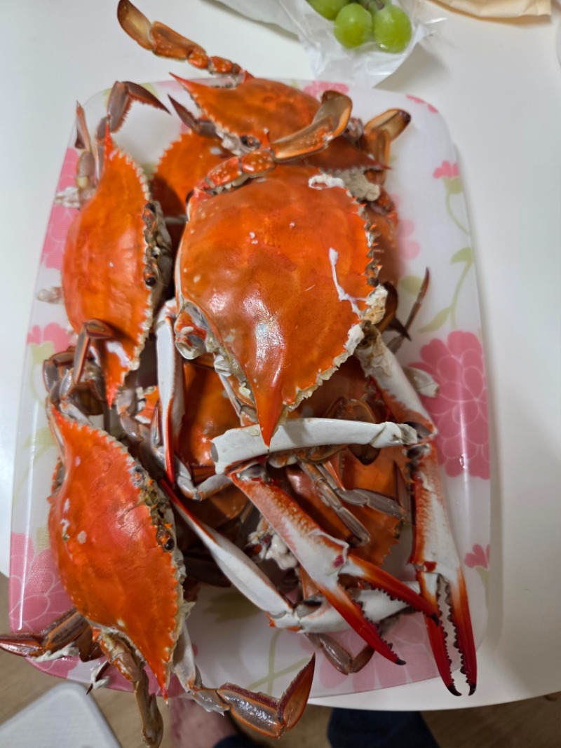 오늘의 저녁~~~