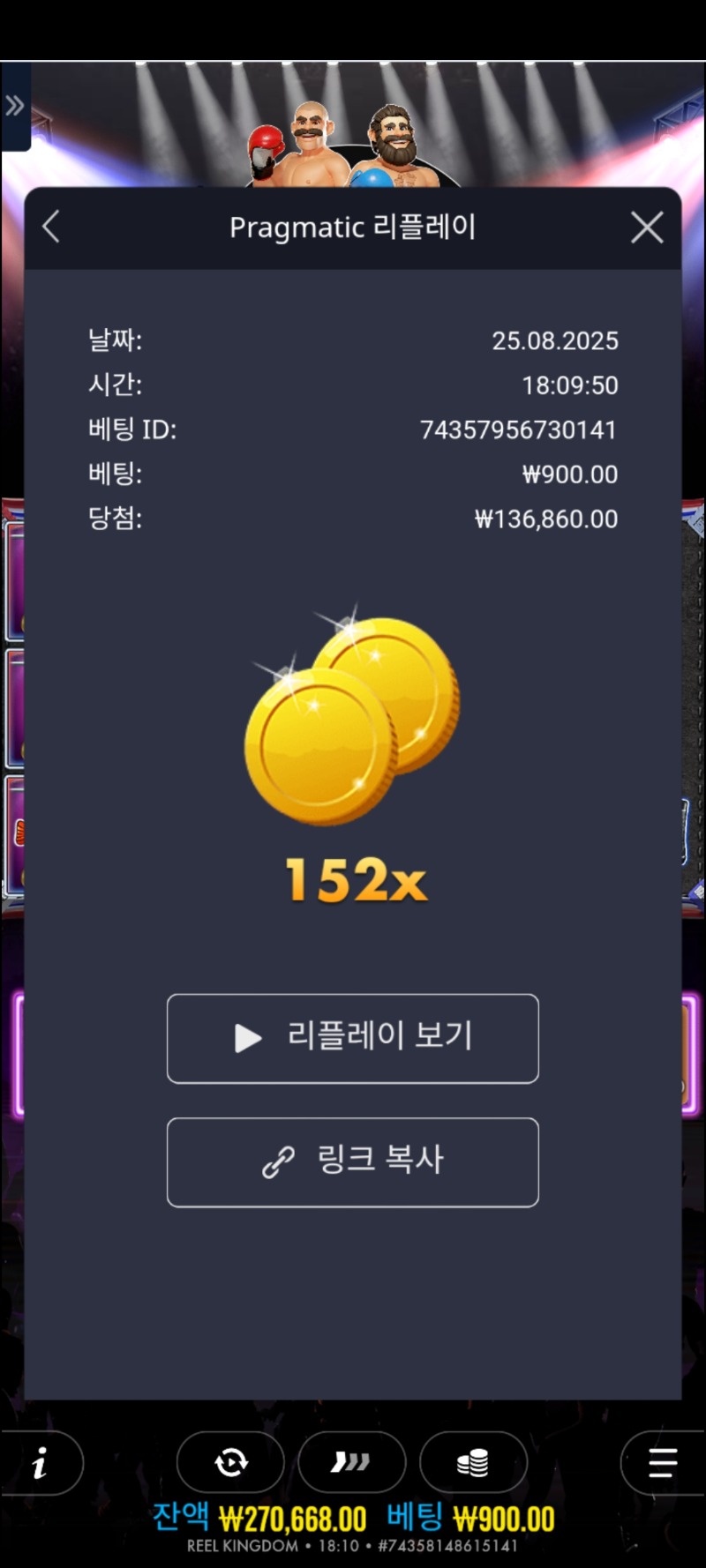 빅베스 복싱 152배