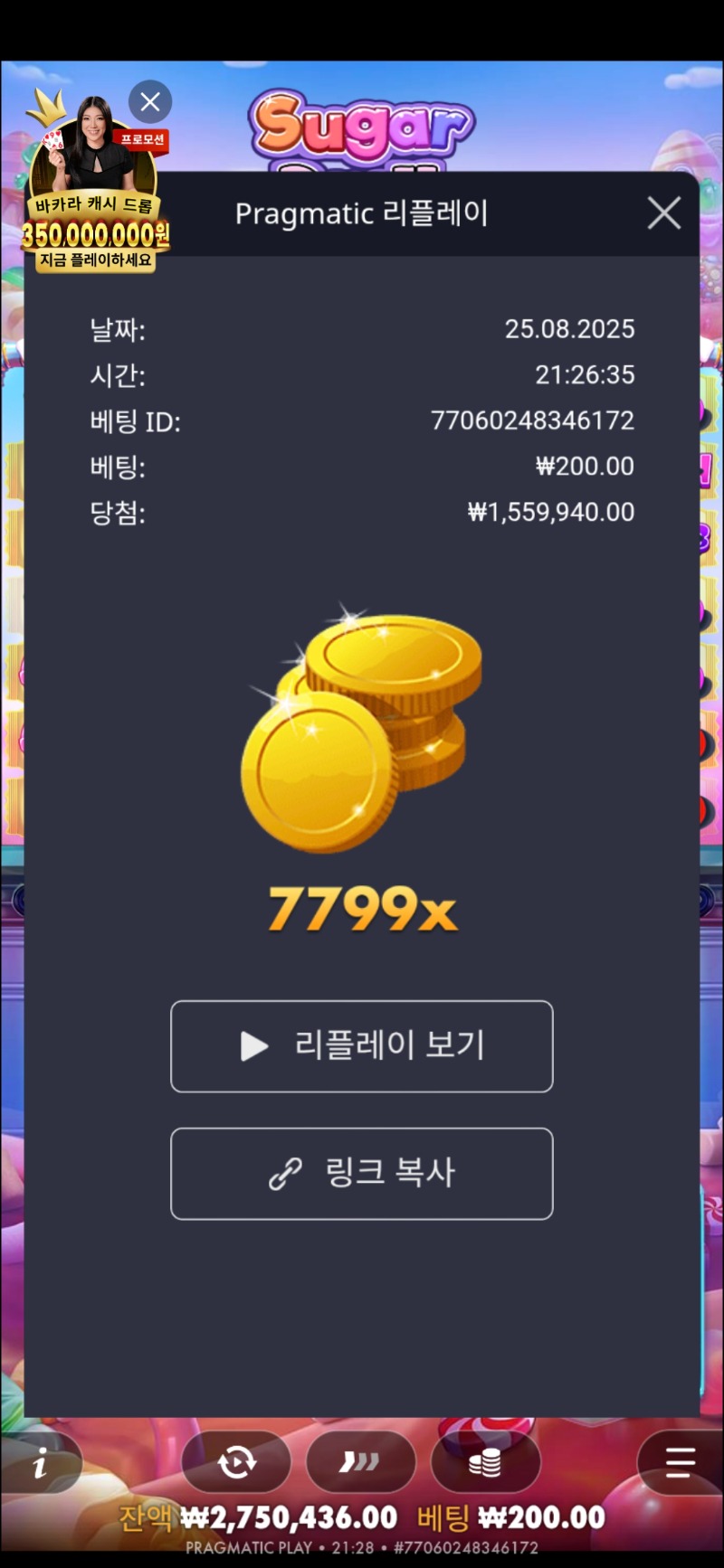 슈천 7799배