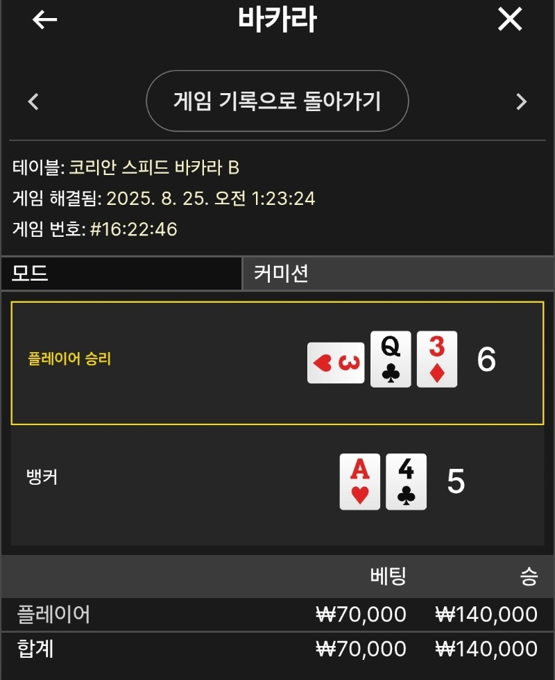 플레이어 승