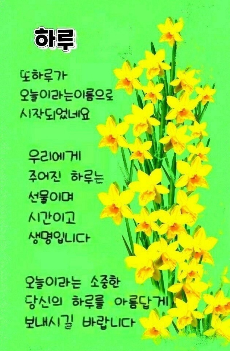 슬카님들 굿밤되세요