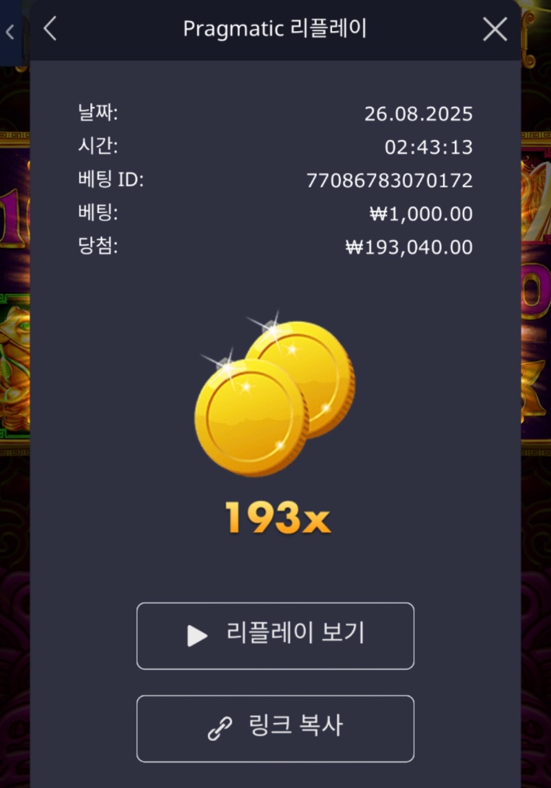 토라메 193배
