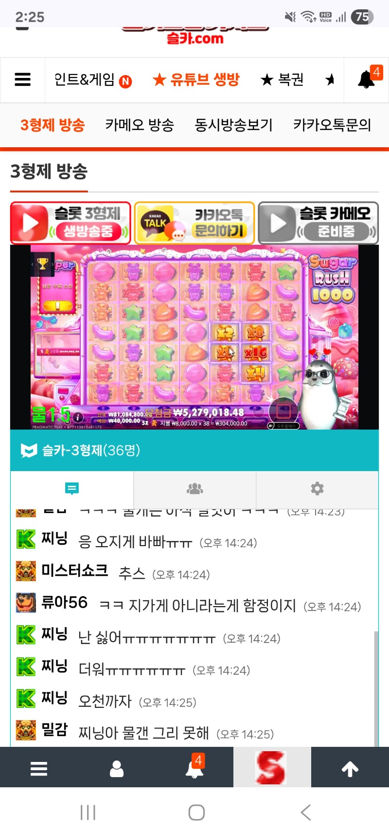 물개 방송 즐방중~~