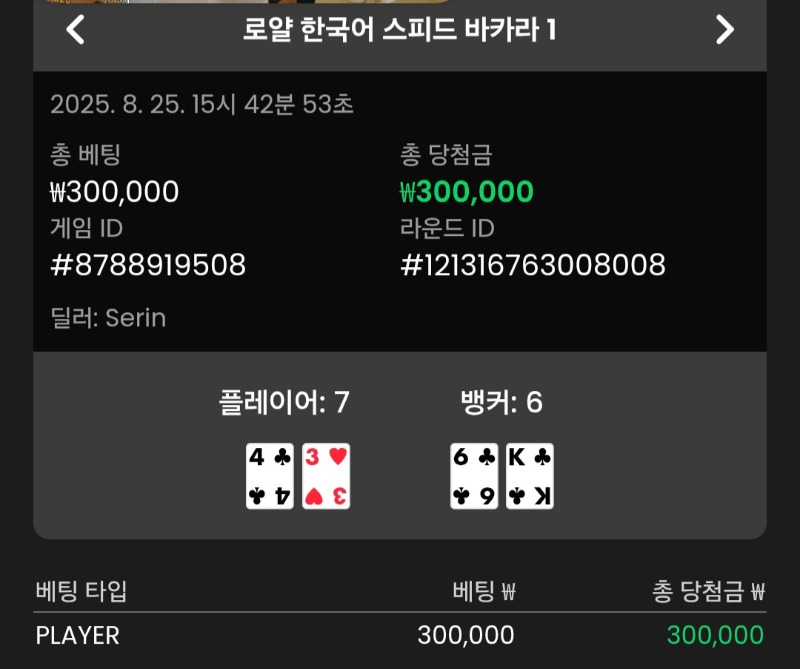 바카라 플레이어 1점 승