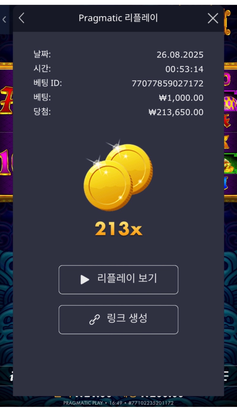 오라메 213 배