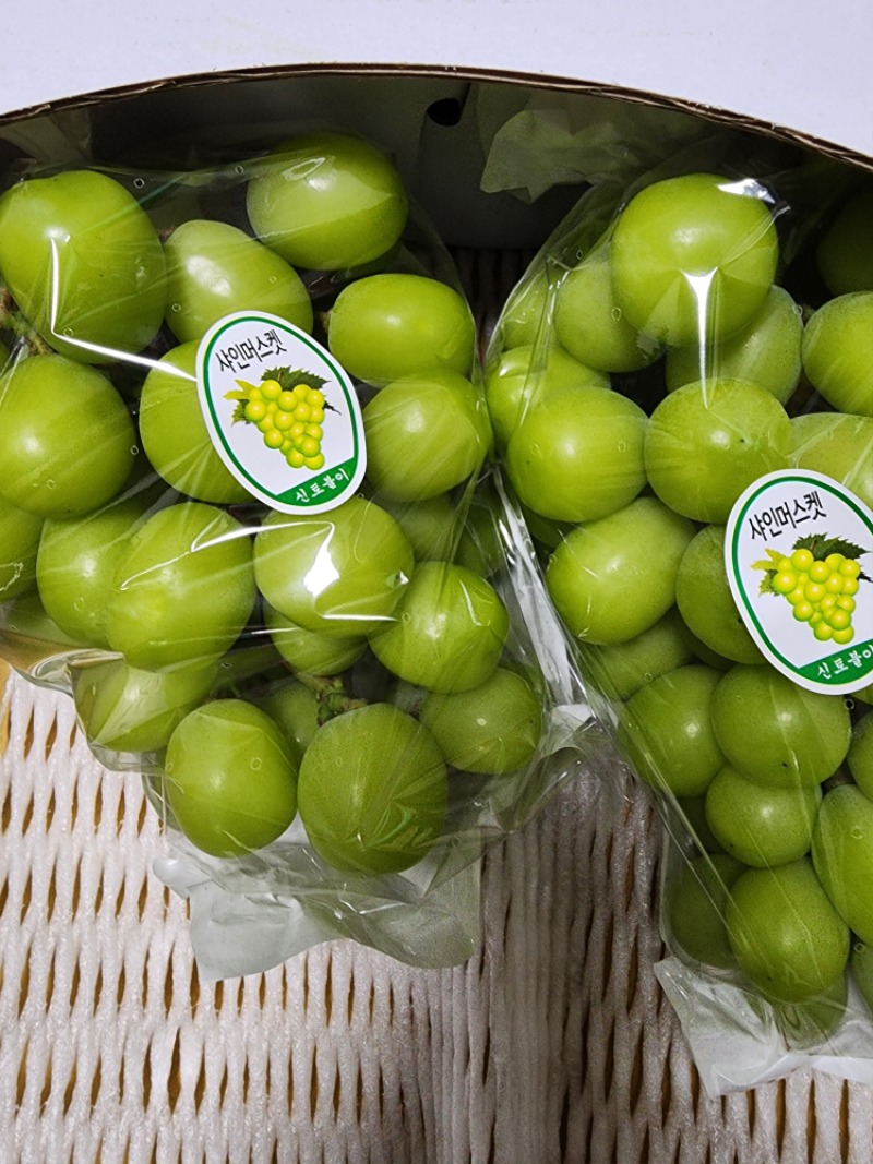 복숭아, 샤인머스킷 맛잇게 보여서~~