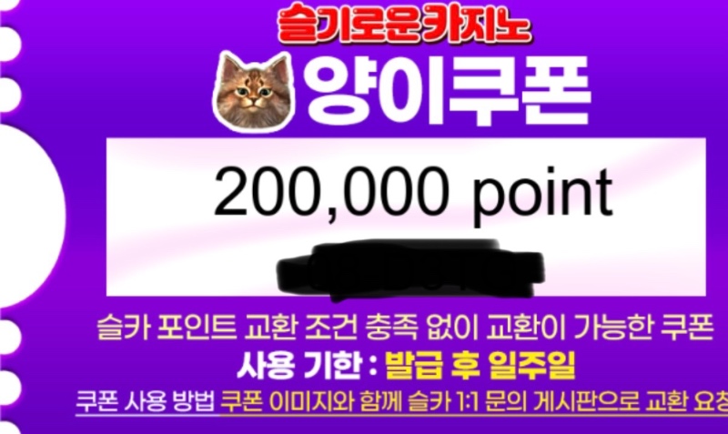 양이쿠폰당첨