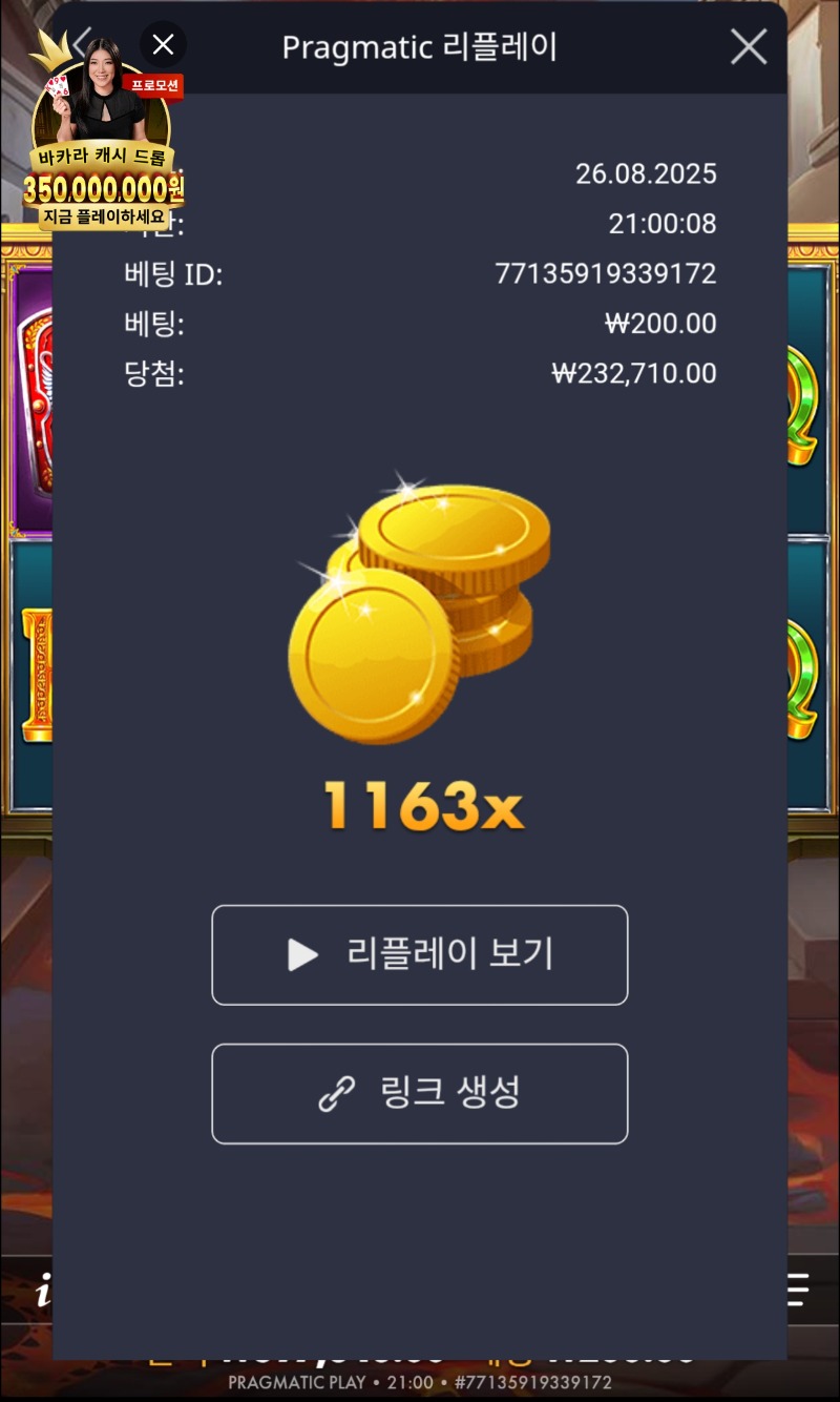폼페이1163