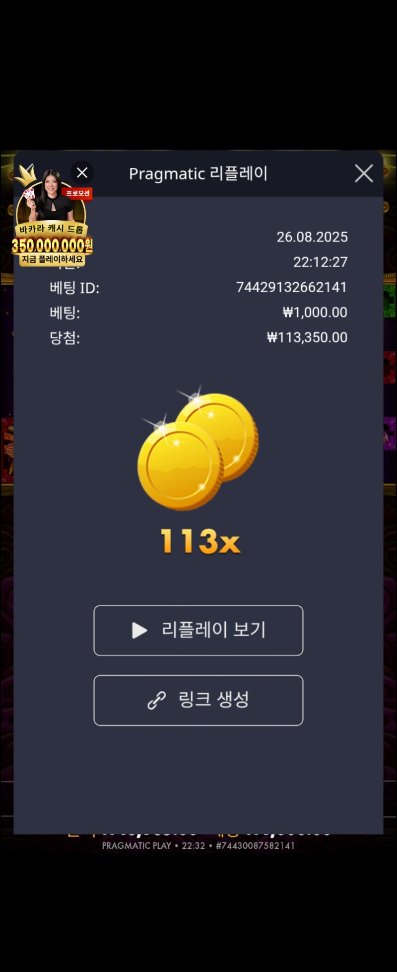 토라메 113