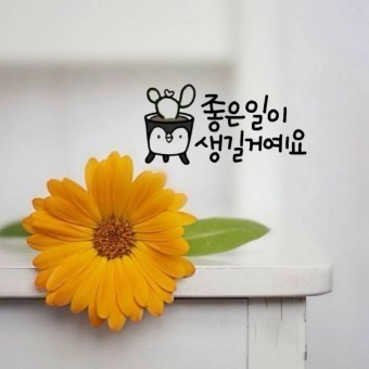 굿몽~~오늘도 화이팅입니다