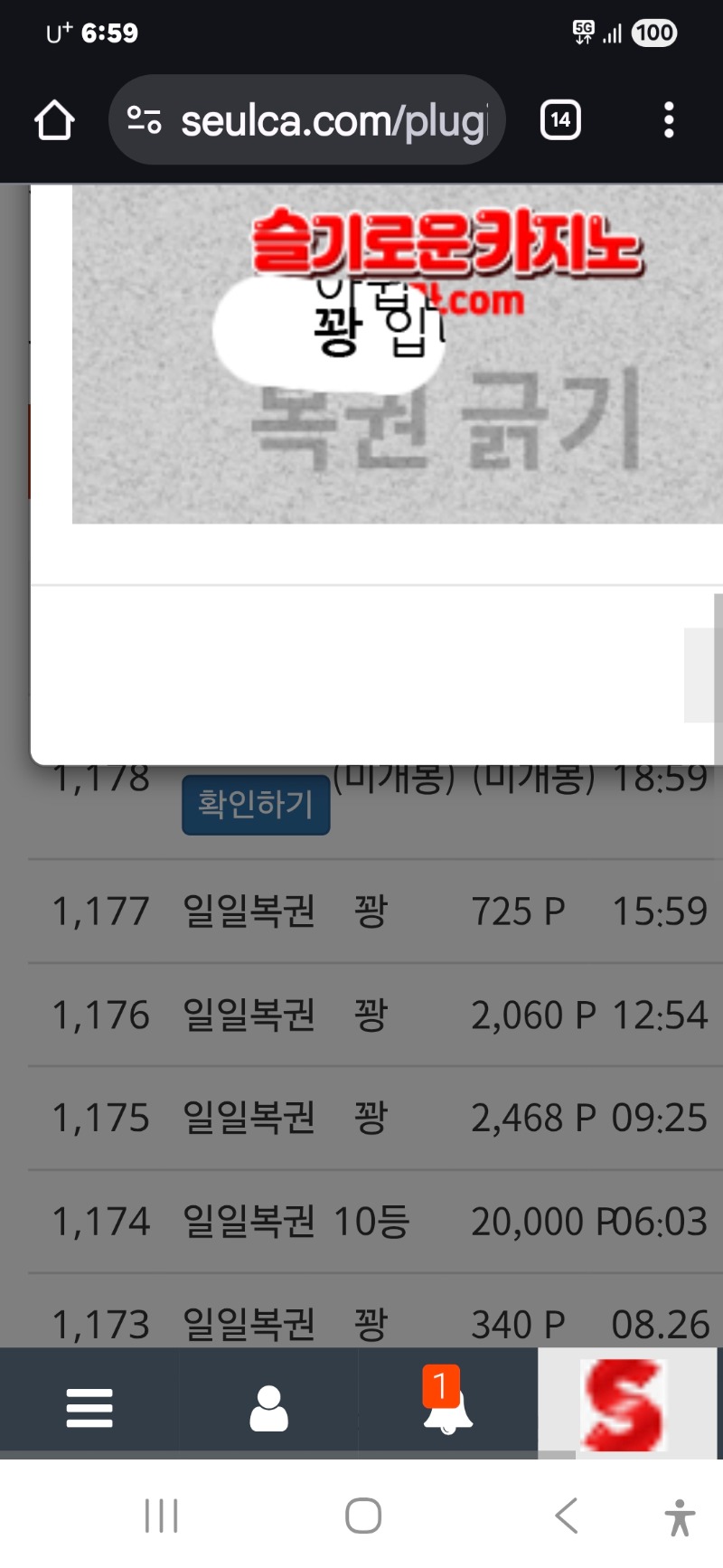 저녁일보기 꽝