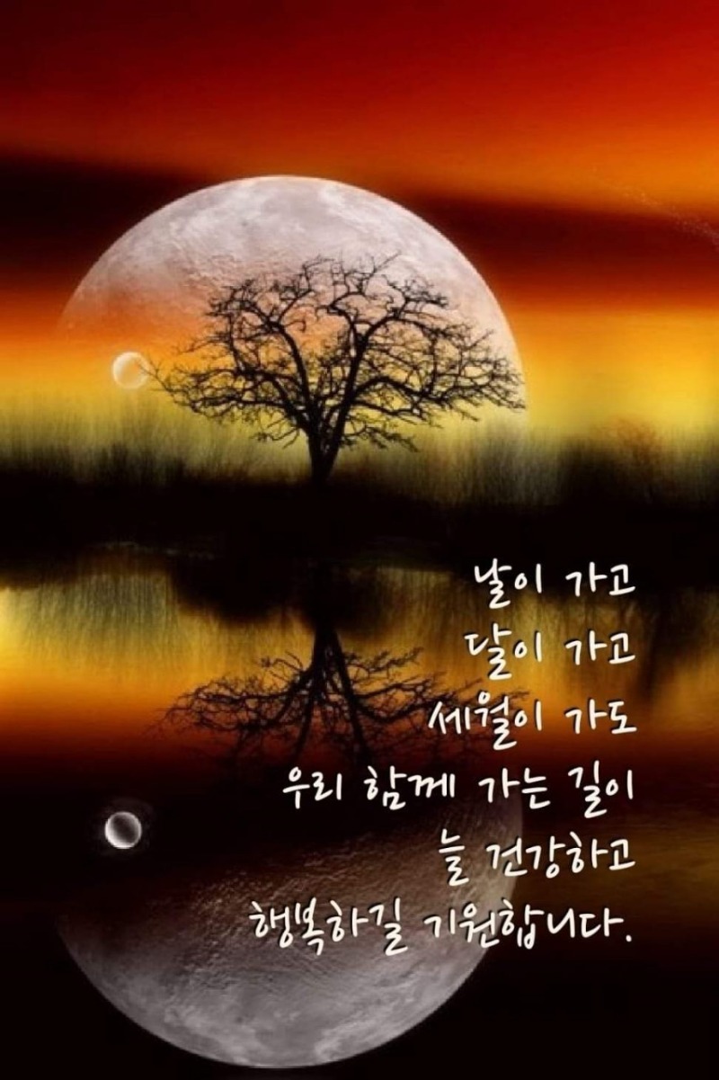 굿밤~다 맞는 말들!