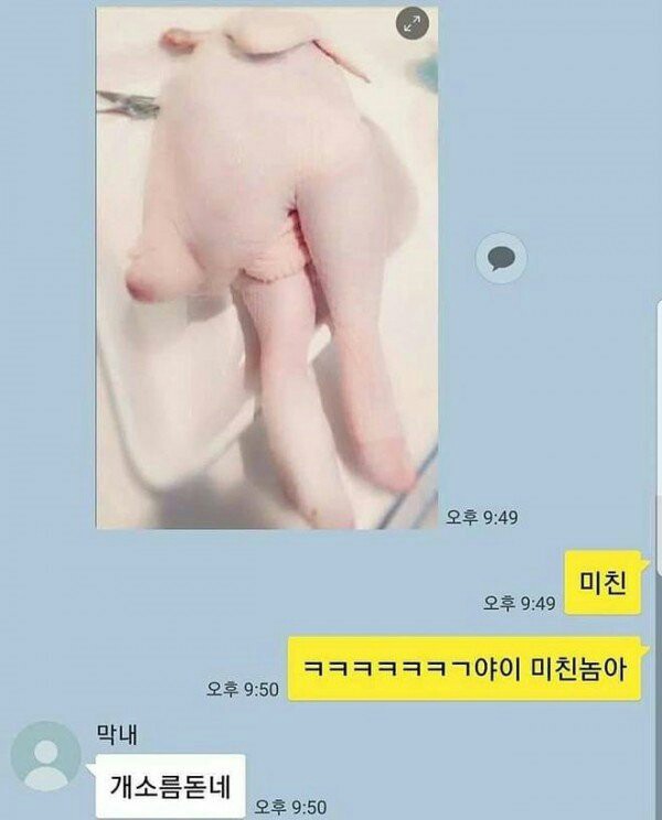 인스타 여자들이 이쁜이유