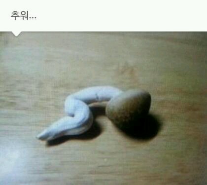 날씨가 쌀쌀..