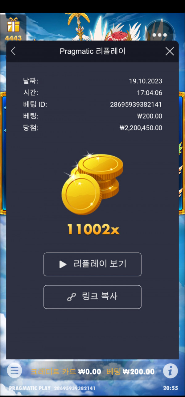 별빛공주 1000 11002배