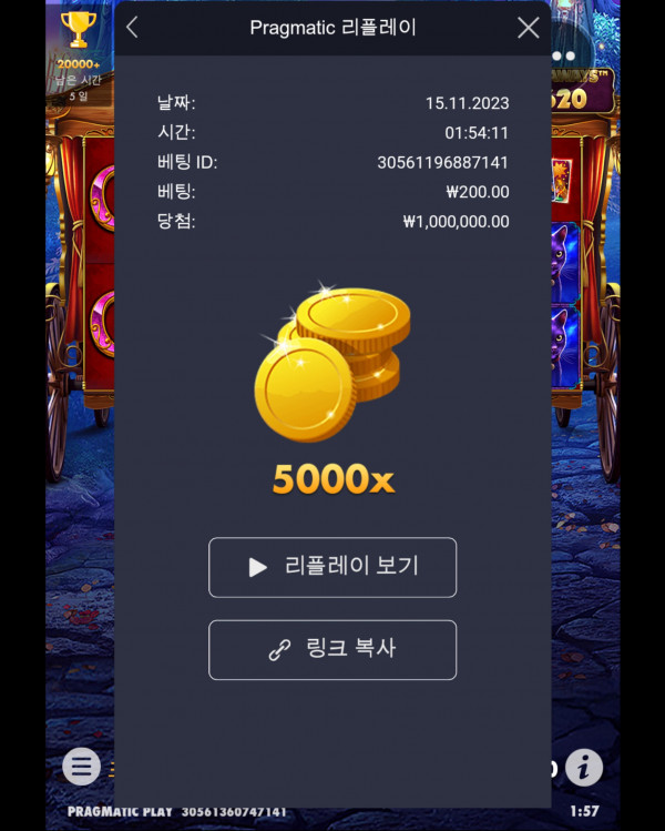 마담5000배