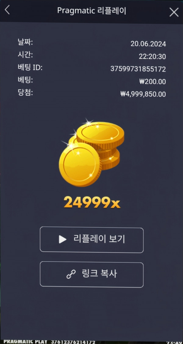 멀린24999배