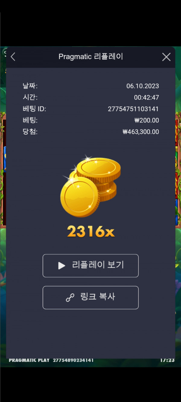 3버징 와일드 2316