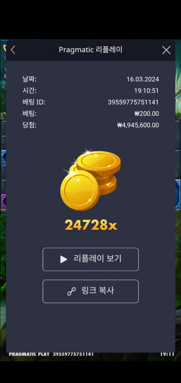 멀린 24728배