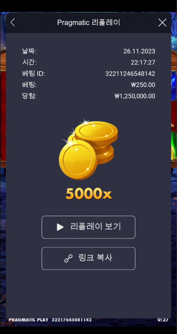 마담 5000배