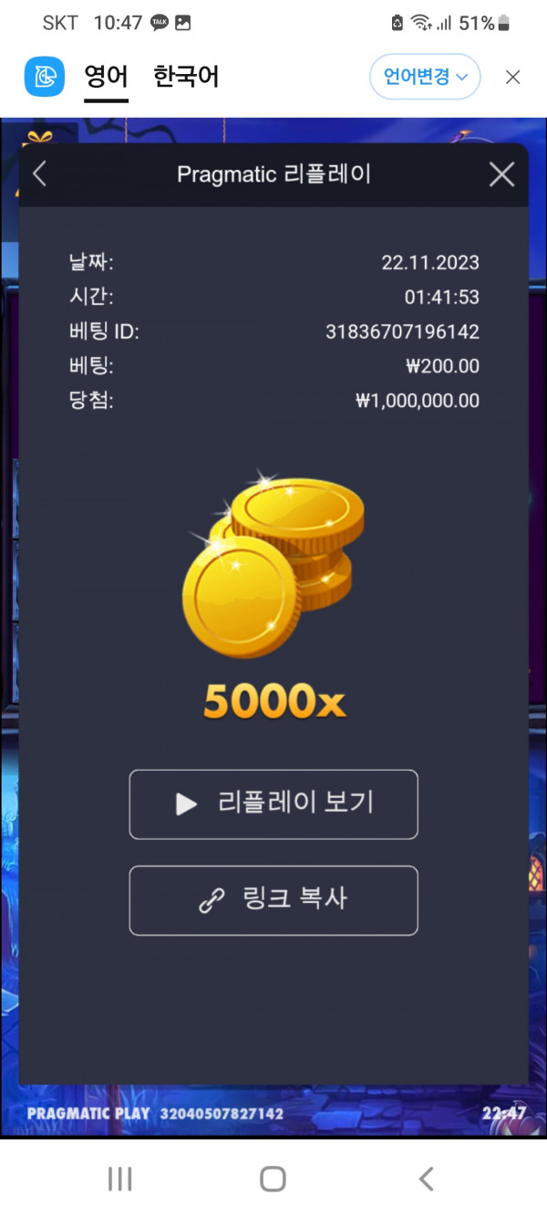 호박  5000 배