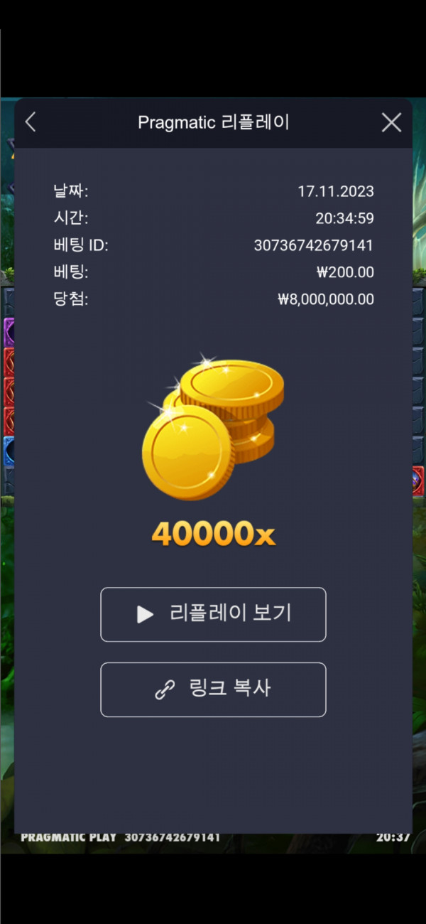 멀린 40000배