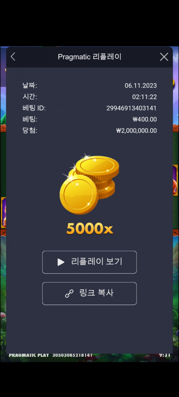 크로버골드  5000배