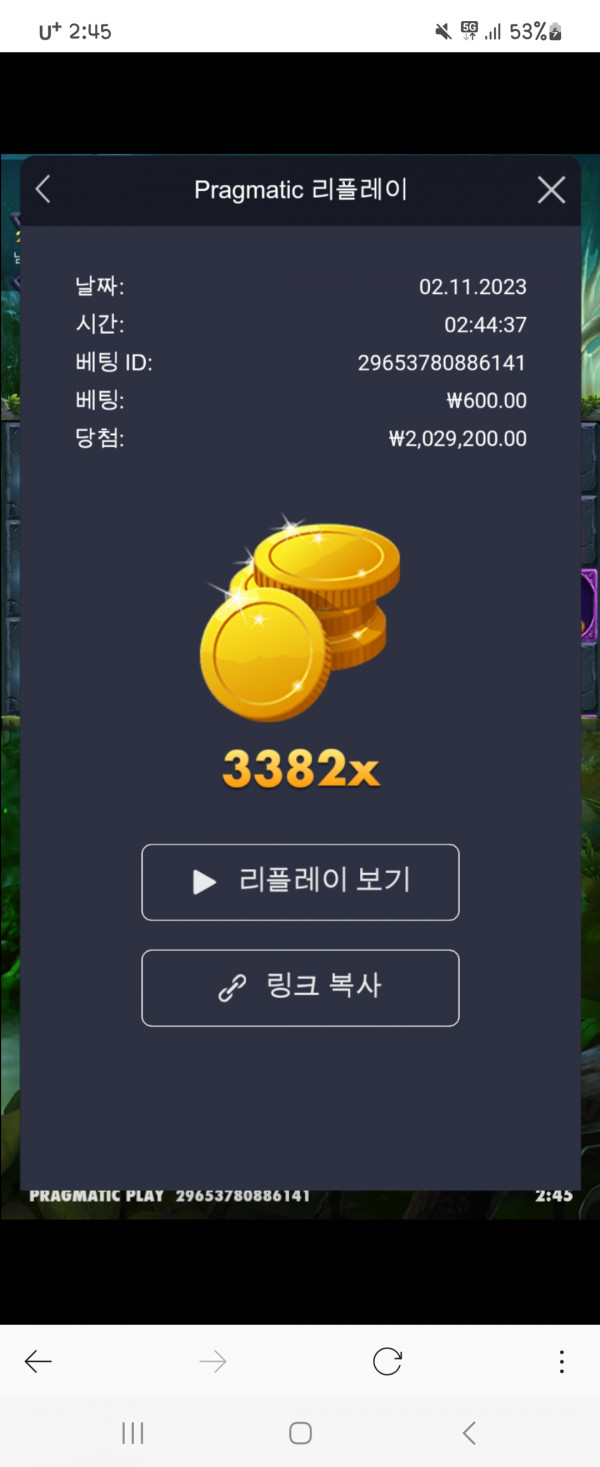 멀린 3382