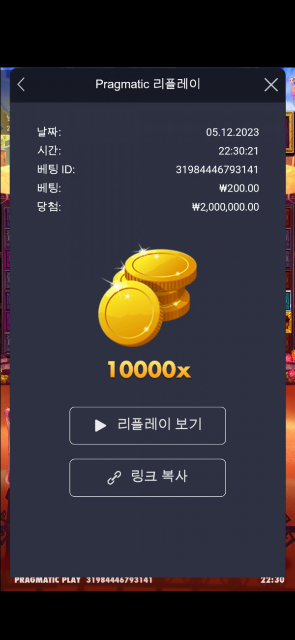 무에르10000배입니다