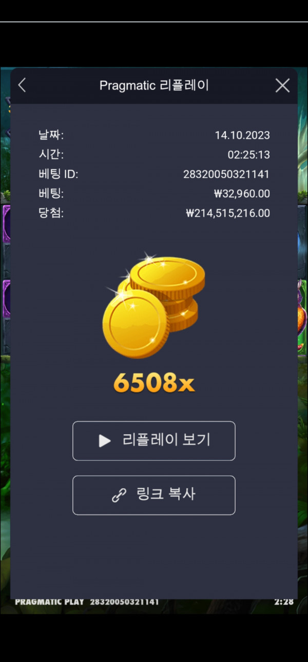 멀린 6500배