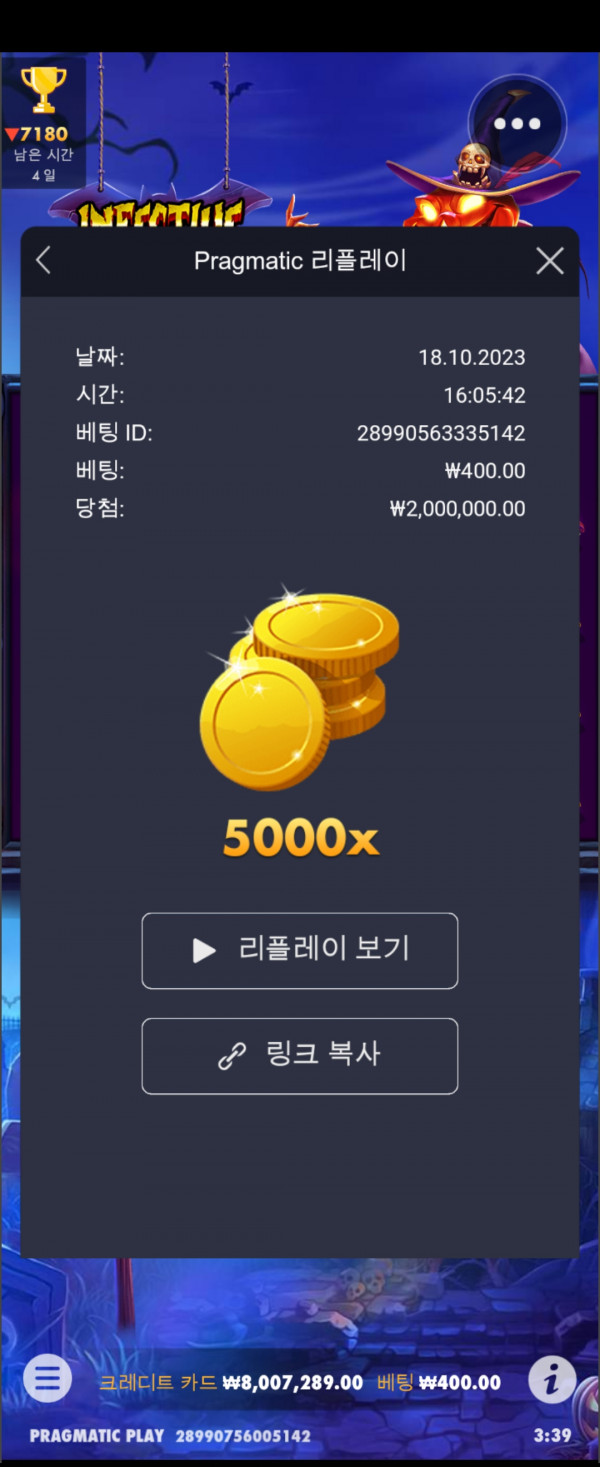 호박 5000배