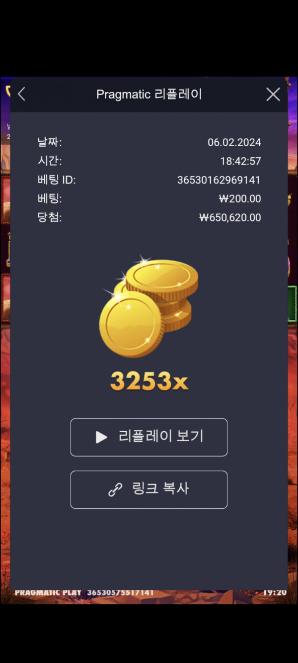 버메가 3253배