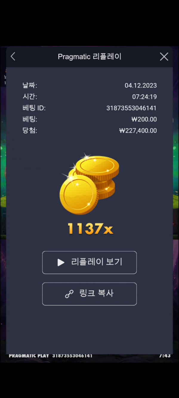 멀린 1137배