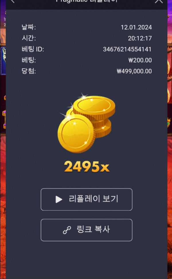 버메가2492배