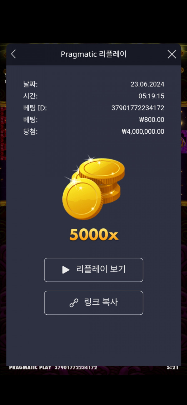 토라메 5000배 맥스