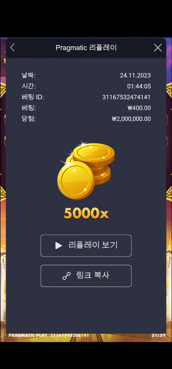 할배 5000배